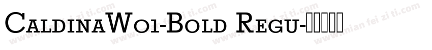 CaldinaW01-Bold Regu字体转换
